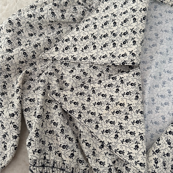 Anna Sui x Opening Ceremony Runway Blouse - Picture 5 of 6